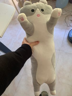 Long Cat Plush Toy